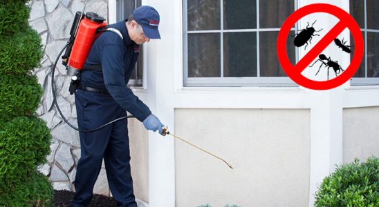 Boğazkale Haşere İlaçlama böcek ilaçlama ve haşere kontrolü — ilaclama-tr.com